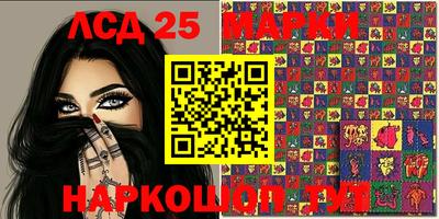 ПСИЛОЦИБИНОВЫЕ ГРИБЫ Заволжье