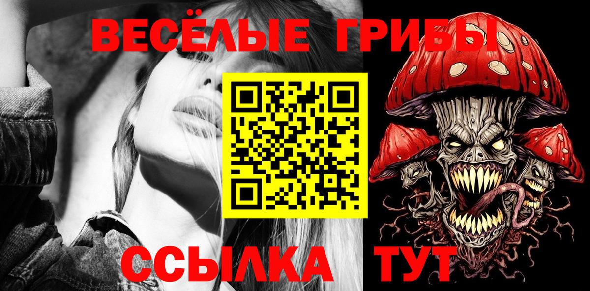 Псилоцибиновые грибы Psilocybe Старая Русса