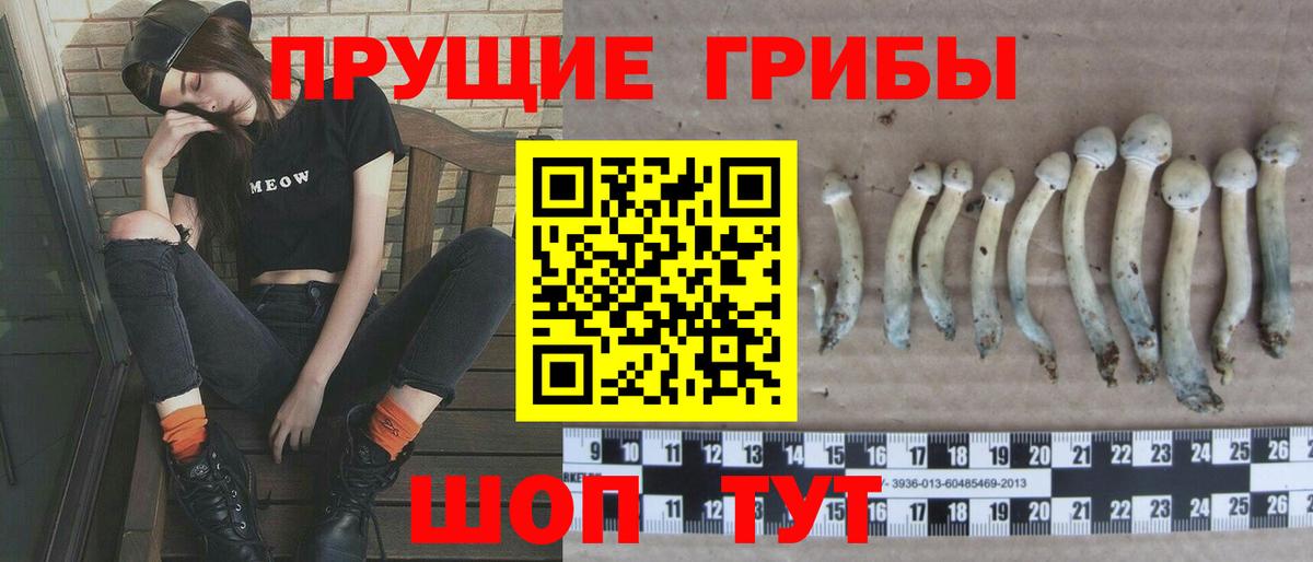 Галлюциногенные грибы Cubensis  Вход с VPN  Псилоцибиновые грибы мицелий  Старая Русса 